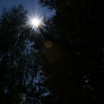 dsc01823