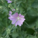 dsc01983