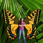 butterfly wings