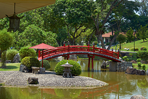 Поездка в Сингапур: часть IV. Японский сад