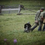 _DSC1865
