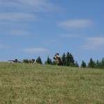 dsc01623