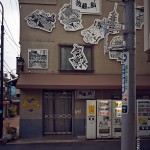 _DSC2053 1