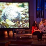 Органно-джазовый поэтический спектакль «Щегол»