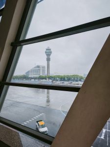 Япония в июне 2025: Кюсю, Хоккайдо, Хонсю, Сикоку — основные острова за 12,5 дней