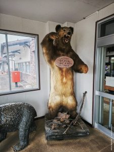 Япония в июне 2025: Кюсю, Хоккайдо, Хонсю, Сикоку — основные острова за 12,5 дней