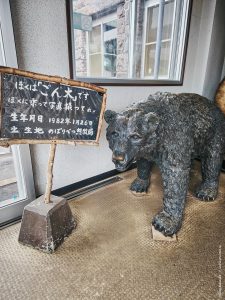 Япония в июне 2025: Кюсю, Хоккайдо, Хонсю, Сикоку — основные острова за 12,5 дней