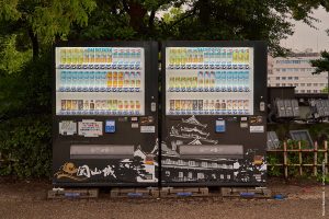 Япония в июне 2025: Кюсю, Хоккайдо, Хонсю, Сикоку — основные острова за 12,5 дней Япония в июне 2025: Кюсю, Хоккайдо, Хонсю, Сикоку — основные острова за 12,5 дней