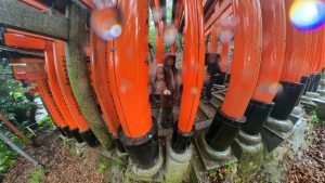 Япония в июне 2025: Кюсю, Хоккайдо, Хонсю, Сикоку — основные острова за 12,5 дней Япония в июне 2025: Кюсю, Хоккайдо, Хонсю, Сикоку — основные острова за 12,5 дней