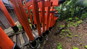 Япония в июне 2025: Кюсю, Хоккайдо, Хонсю, Сикоку — основные острова за 12,5 дней Япония в июне 2025: Кюсю, Хоккайдо, Хонсю, Сикоку — основные острова за 12,5 дней