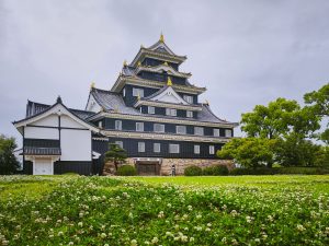 Япония в июне 2025: Кюсю, Хоккайдо, Хонсю, Сикоку — основные острова за 12,5 дней Япония в июне 2025: Кюсю, Хоккайдо, Хонсю, Сикоку — основные острова за 12,5 дней