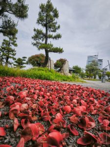 Япония в июне 2025: Кюсю, Хоккайдо, Хонсю, Сикоку — основные острова за 12,5 дней Япония в июне 2025: Кюсю, Хоккайдо, Хонсю, Сикоку — основные острова за 12,5 дней