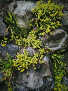 Япония в июне 2025: Кюсю, Хоккайдо, Хонсю, Сикоку — основные острова за 12,5 дней Япония в июне 2025: Кюсю, Хоккайдо, Хонсю, Сикоку — основные острова за 12,5 дней