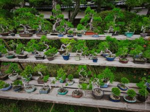 Япония в июне 2025: Кюсю, Хоккайдо, Хонсю, Сикоку — основные острова за 12,5 дней Япония в июне 2025: Кюсю, Хоккайдо, Хонсю, Сикоку — основные острова за 12,5 дней