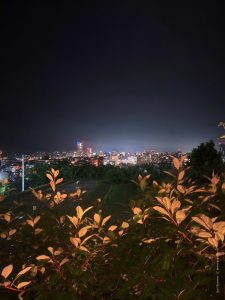 Япония в июне 2025: Кюсю, Хоккайдо, Хонсю, Сикоку — основные острова за 12,5 дней Япония в июне 2025: Кюсю, Хоккайдо, Хонсю, Сикоку — основные острова за 12,5 дней